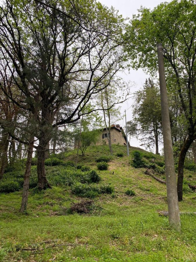 Naturemugello Oasi Naturista Dicomano Exterior foto